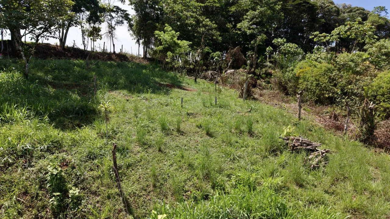 274 m² Lot for Sale in Tres Rios, Perez Zeledon – Stunning Views, Perfect for Airbnb or Cabin — photo 3