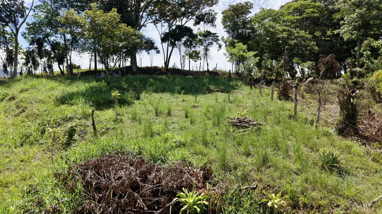 274 m² Lot for Sale in Tres Rios, Perez Zeledon – Stunning Views, Perfect for Airbnb or Cabin — photo 4