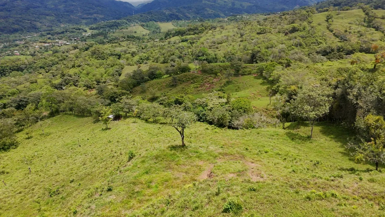 For Sale: 3.8 Hectares in Pérez Zeledón with Creek, Fruit Trees, and Stunning Views