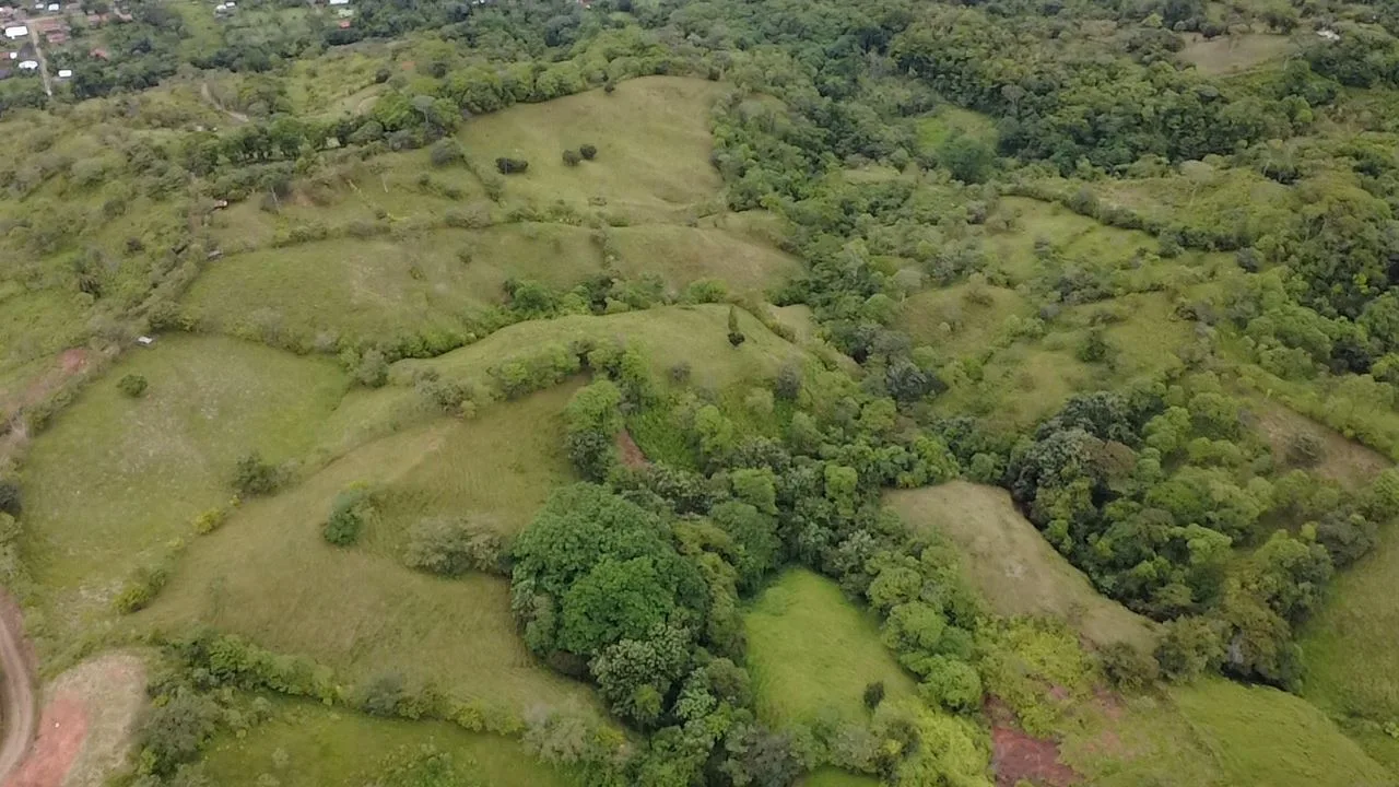 For Sale: 3.8 Hectares in Pérez Zeledón with Creek, Fruit Trees, and Stunning Views — photo 2