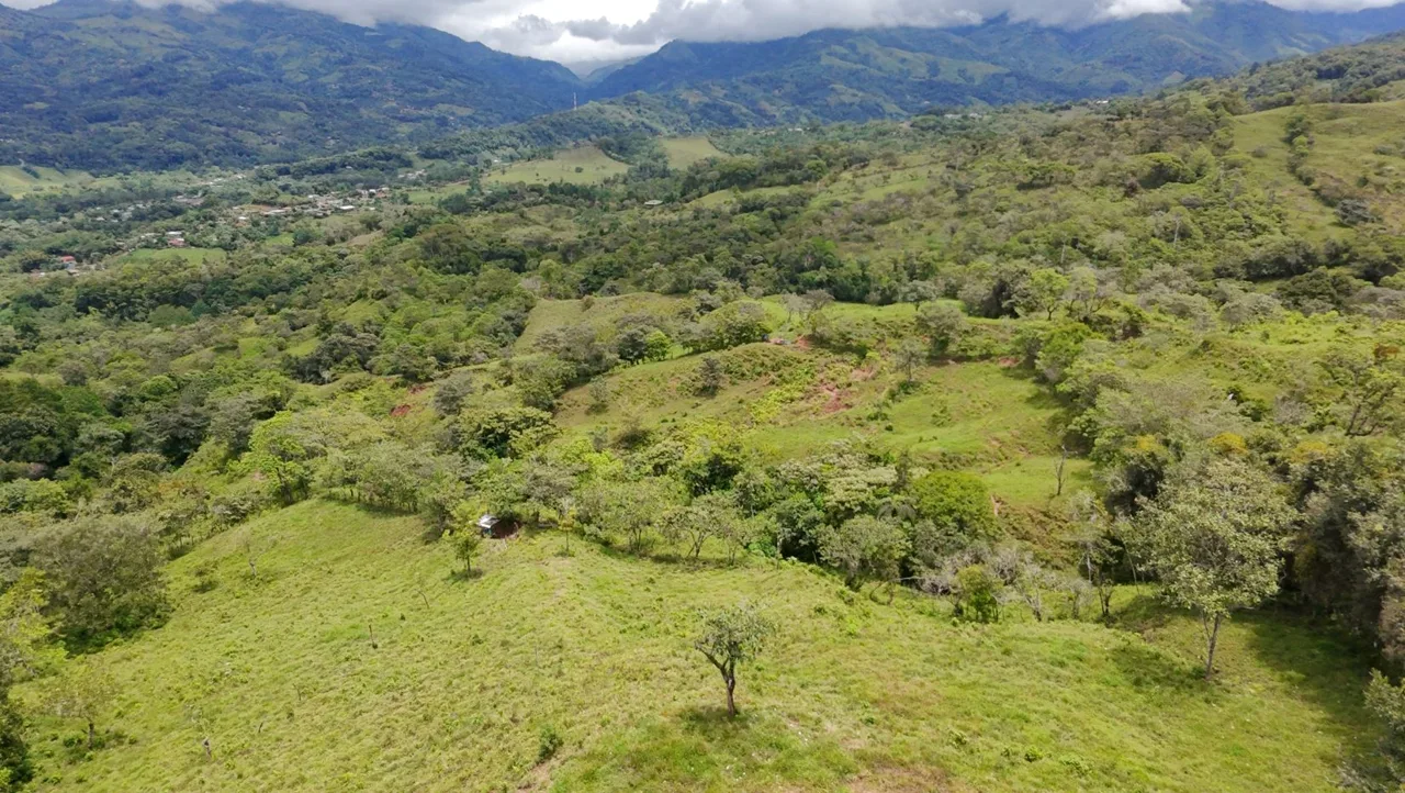 For Sale: 3.8 Hectares in Pérez Zeledón with Creek, Fruit Trees, and Stunning Views — photo 3