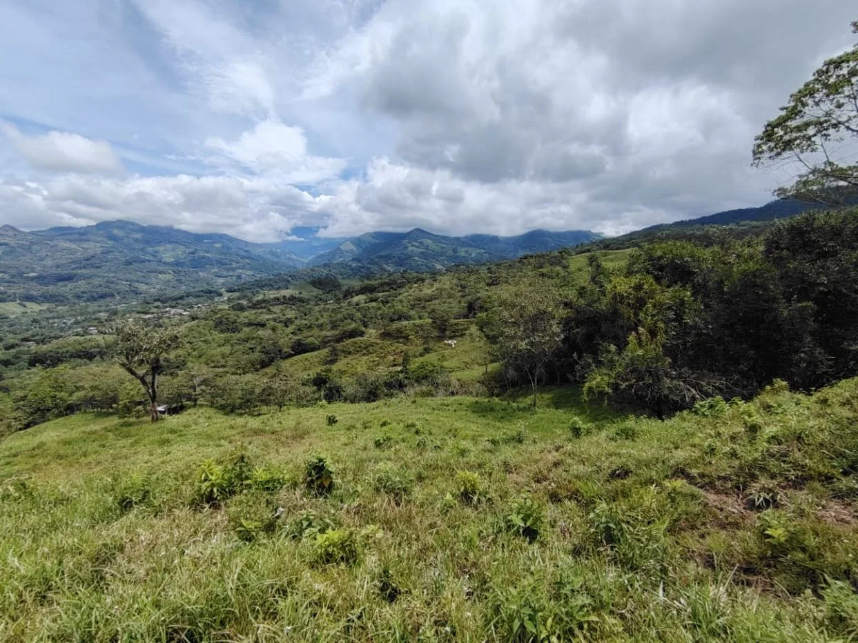 For Sale: 3.8 Hectares in Pérez Zeledón with Creek, Fruit Trees, and Stunning Views — photo 4
