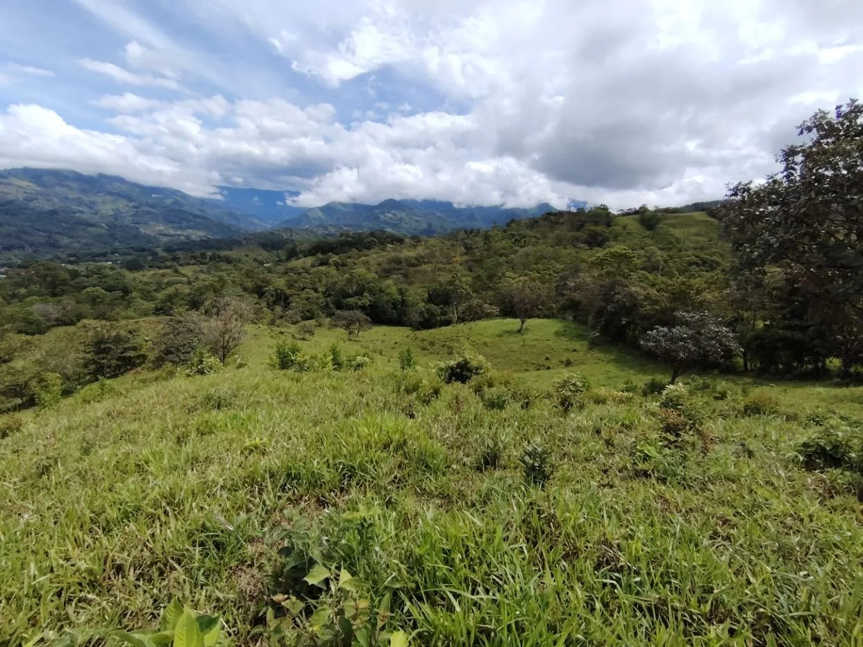 For Sale: 3.8 Hectares in Pérez Zeledón with Creek, Fruit Trees, and Stunning Views — photo 5