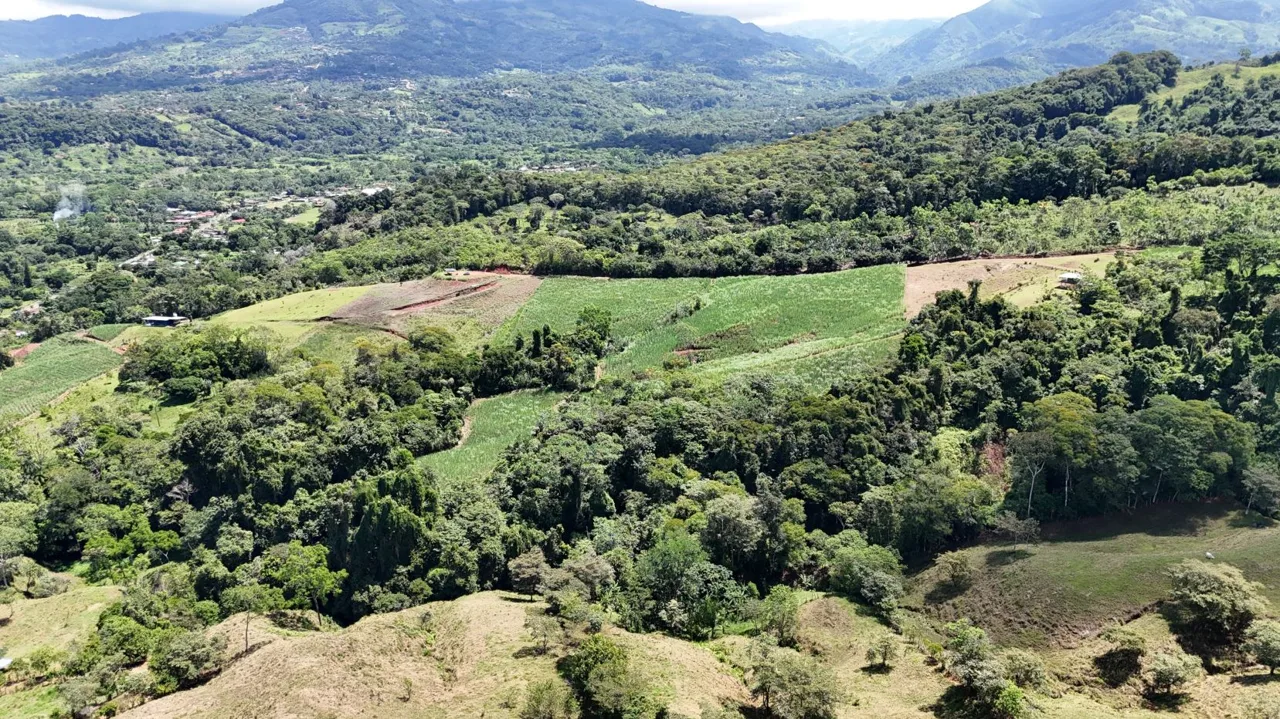 For Sale-Enchanting Cane Farm in General Viejo – Panoramic Views, Abundant Stream &amp; Fertile Land for Visionary Living or amazing Development — photo 2