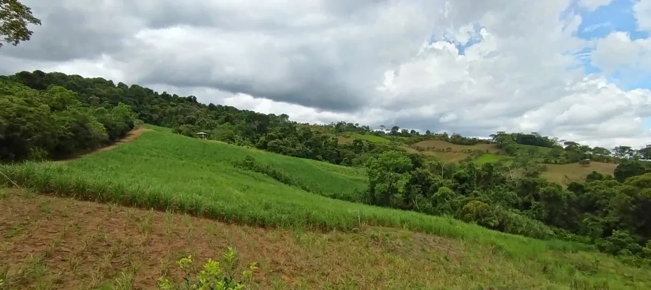 For Sale-Enchanting Cane Farm in General Viejo – Panoramic Views, Abundant Stream &amp; Fertile Land for Visionary Living or amazing Development — photo 4