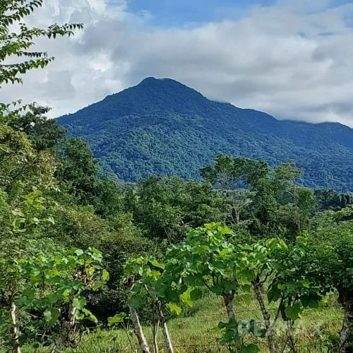 Turrubares Development Parcel