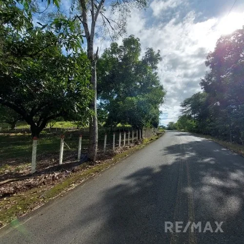 Turrubares Development Parcel — photo 3