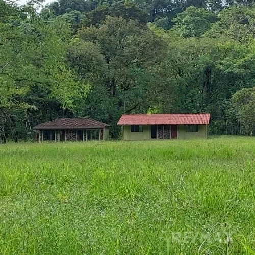 Turrubares Development Parcel — photo 4