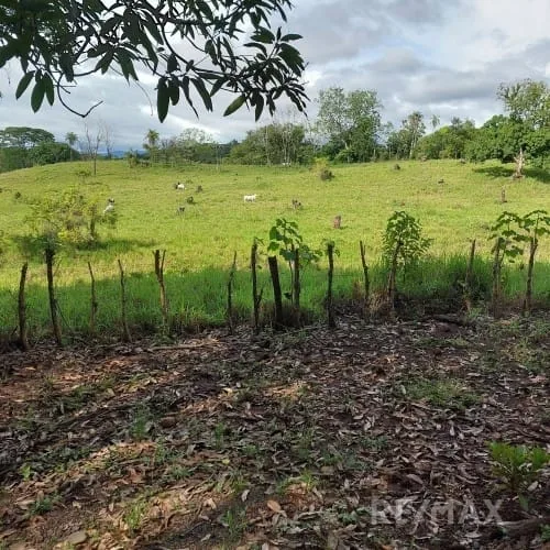 Turrubares Development Parcel — photo 5
