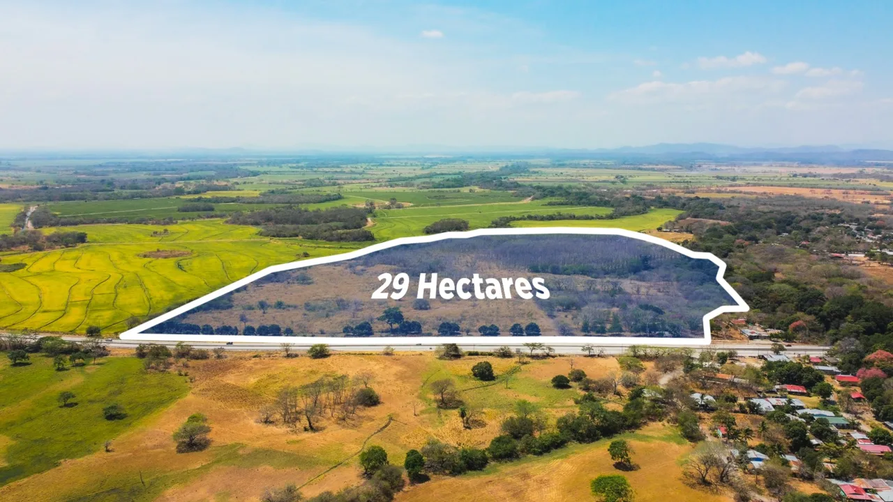 Huge Farm of 29 Hectares with River, Plantation Trees, and Lagoon in Costa Rica