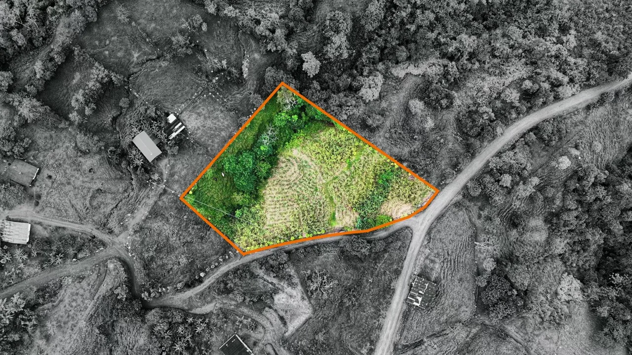 Serene San Blas Estate for Sale: 1.2 Acres with Creek
