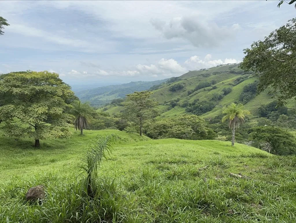 117,454m2 ideal for farm property with plenty of land