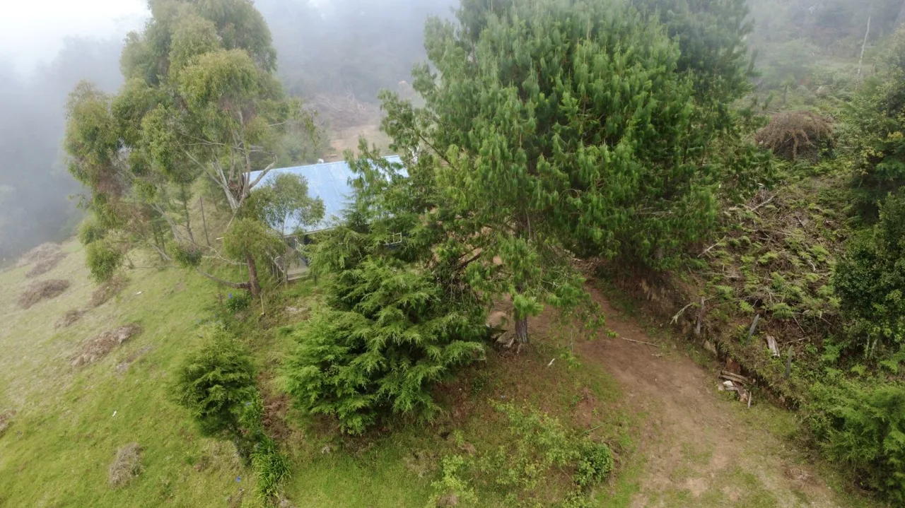 Mountain Property and Cabaña for sale in Dota, Jardín Costa Rica — photo 3