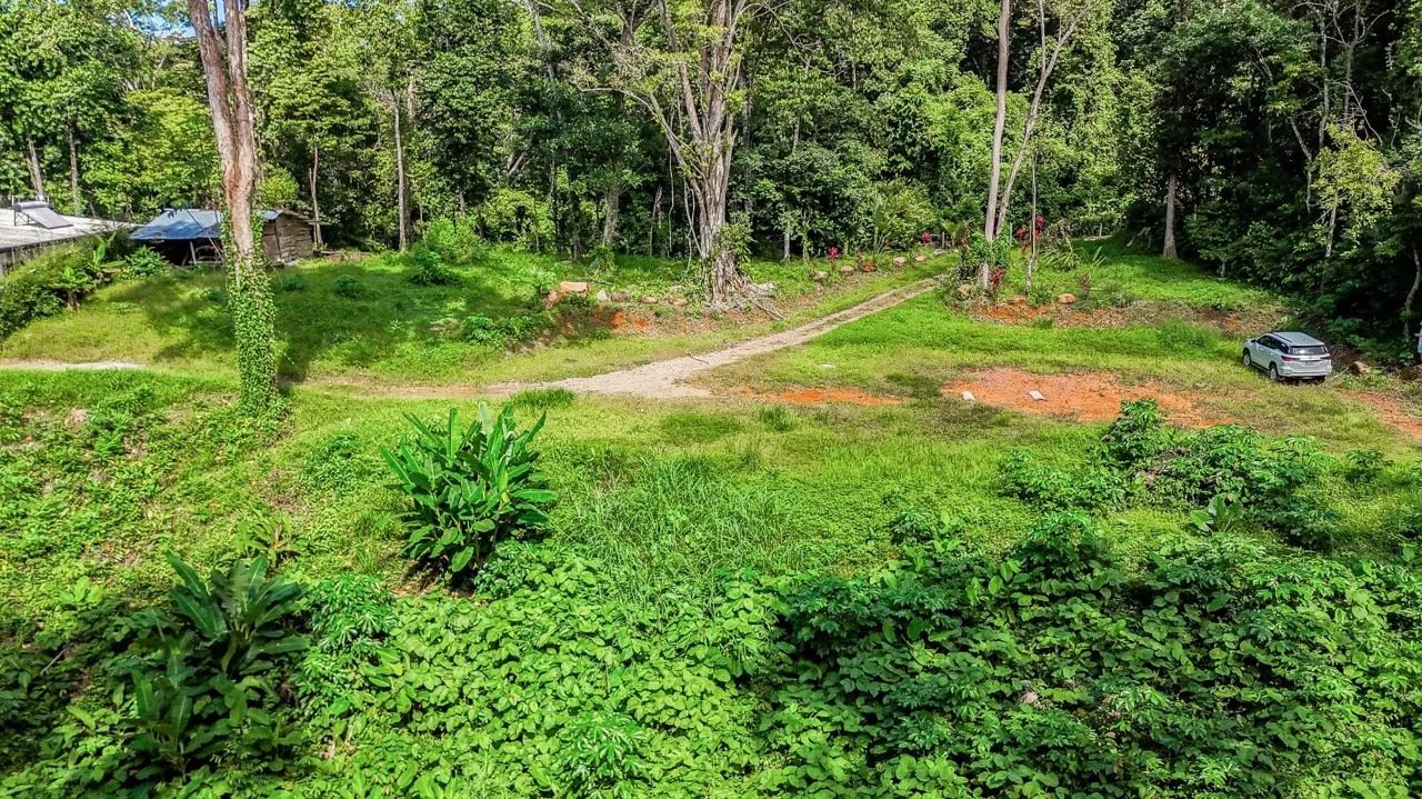 Jungle Lot with River Border – Walk to Plaza Ventanas, Ojochal