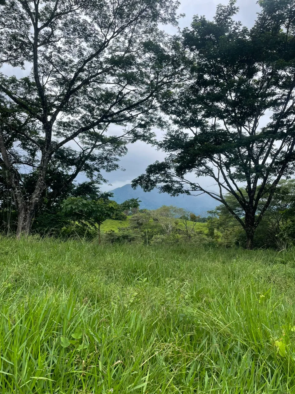 Unique Property for Sale in the Heart of Turrubares – 11 Hectares with Stunning Views — photo 2