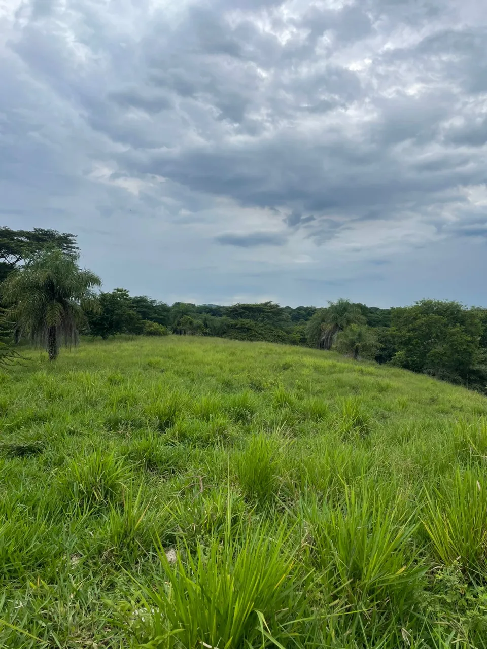 Unique Property for Sale in the Heart of Turrubares – 11 Hectares with Stunning Views — photo 3
