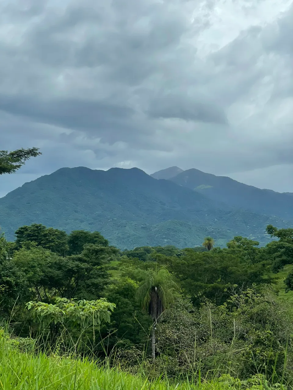 Unique Property for Sale in the Heart of Turrubares – 11 Hectares with Stunning Views — photo 4