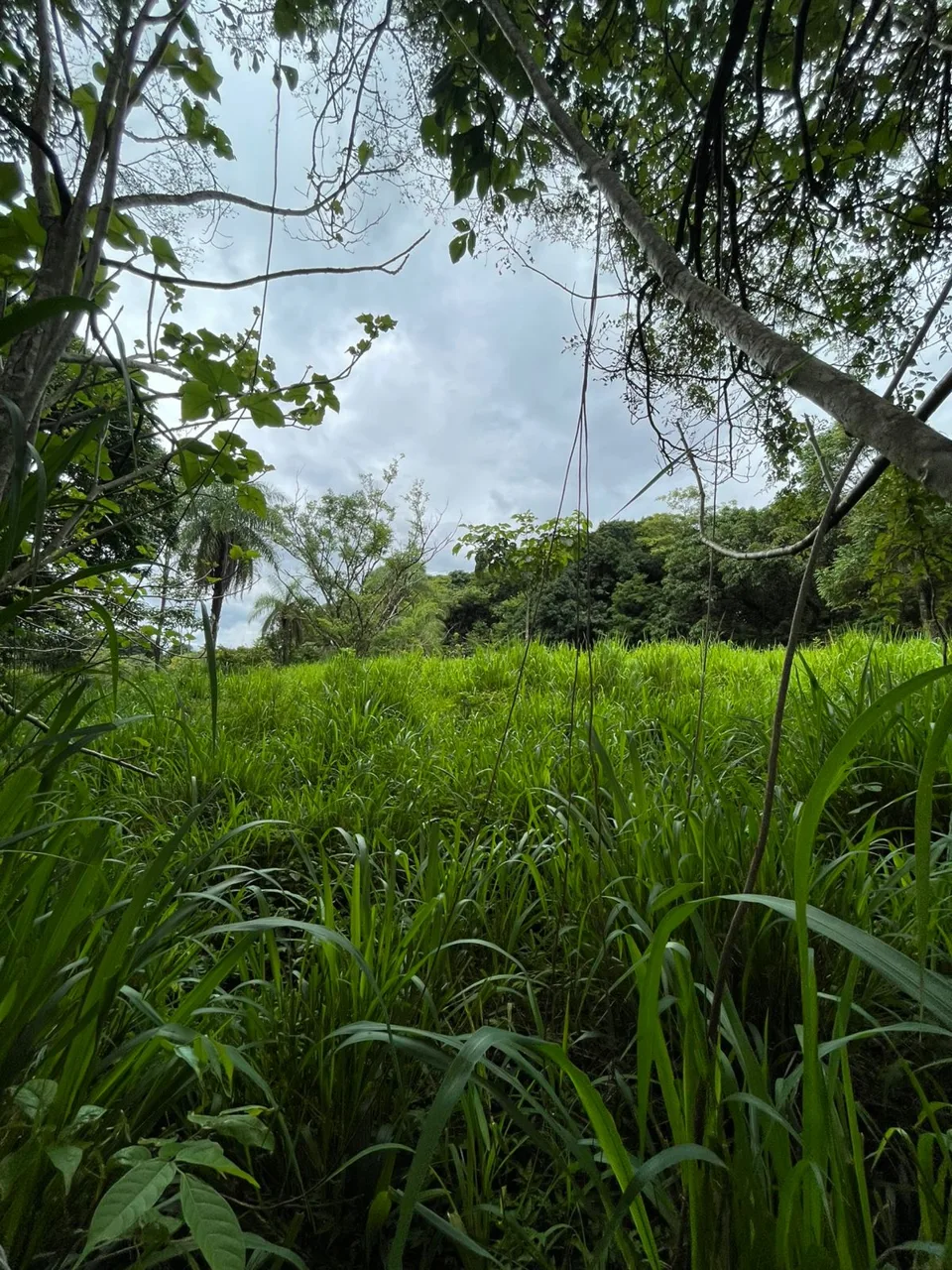 Unique Property for Sale in the Heart of Turrubares – 11 Hectares with Stunning Views — photo 5