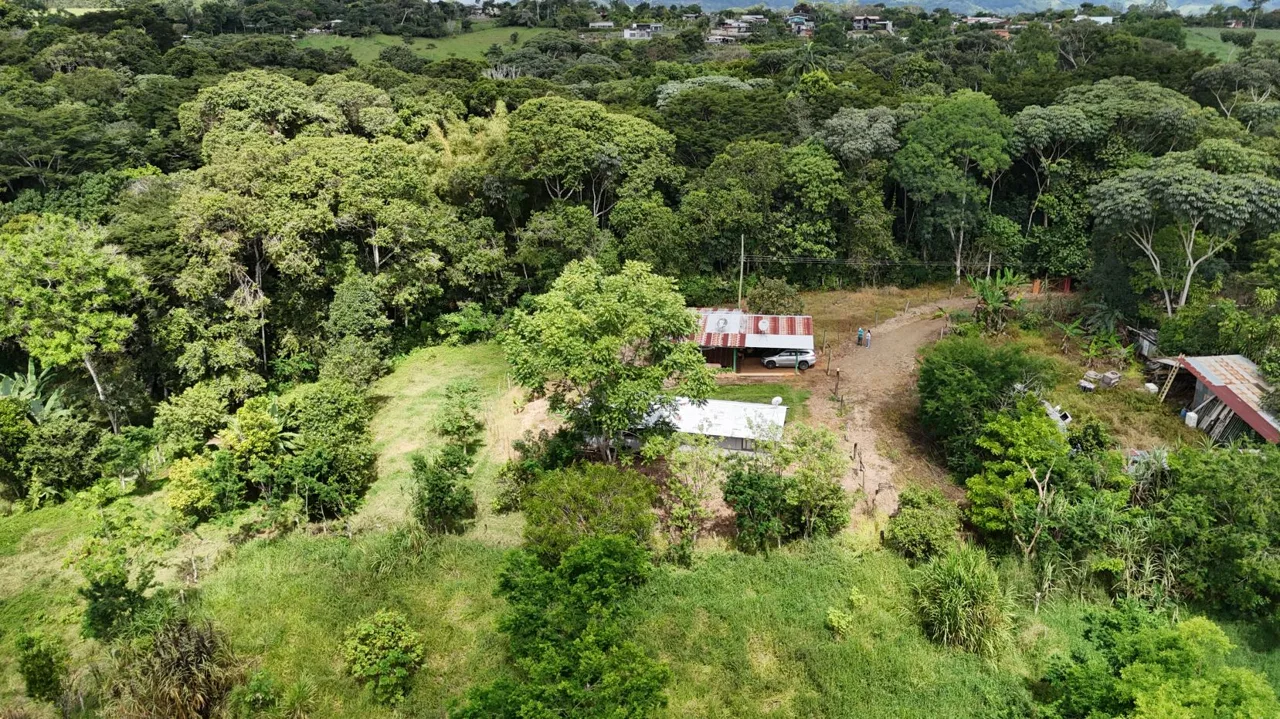 Your Hidden Little Farm – In A 1 Hectare for Sale in Perez Zeledon