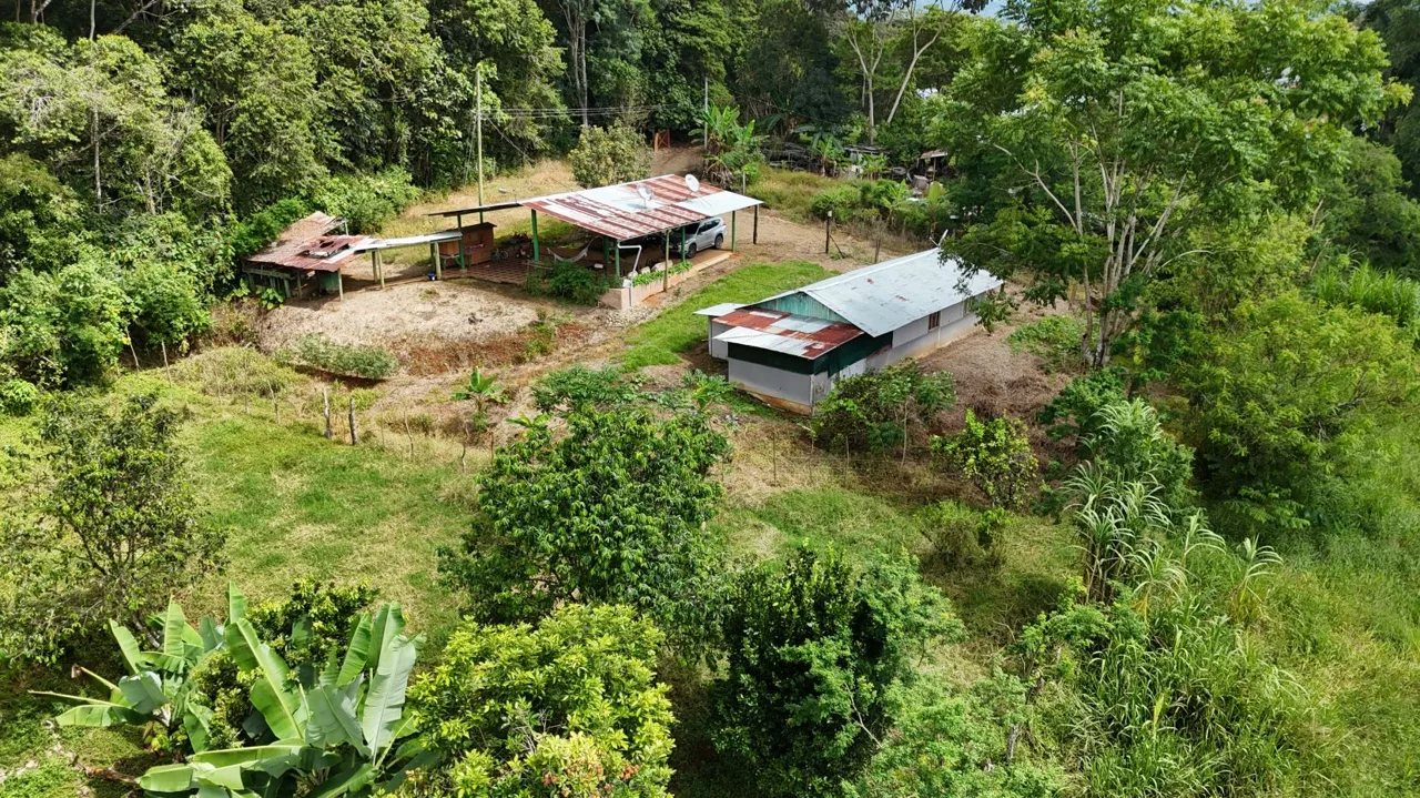 Your Hidden Little Farm – In A 1 Hectare for Sale in Perez Zeledon — photo 2