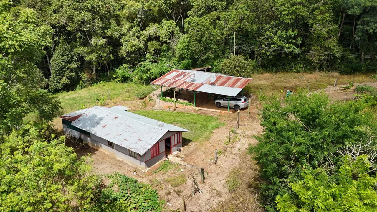 Your Hidden Little Farm – In A 1 Hectare for Sale in Perez Zeledon — photo 5