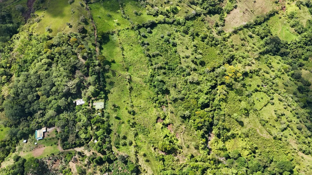 For Sale – 3.8 Ha Near Chirripó With Stream &amp; Springs