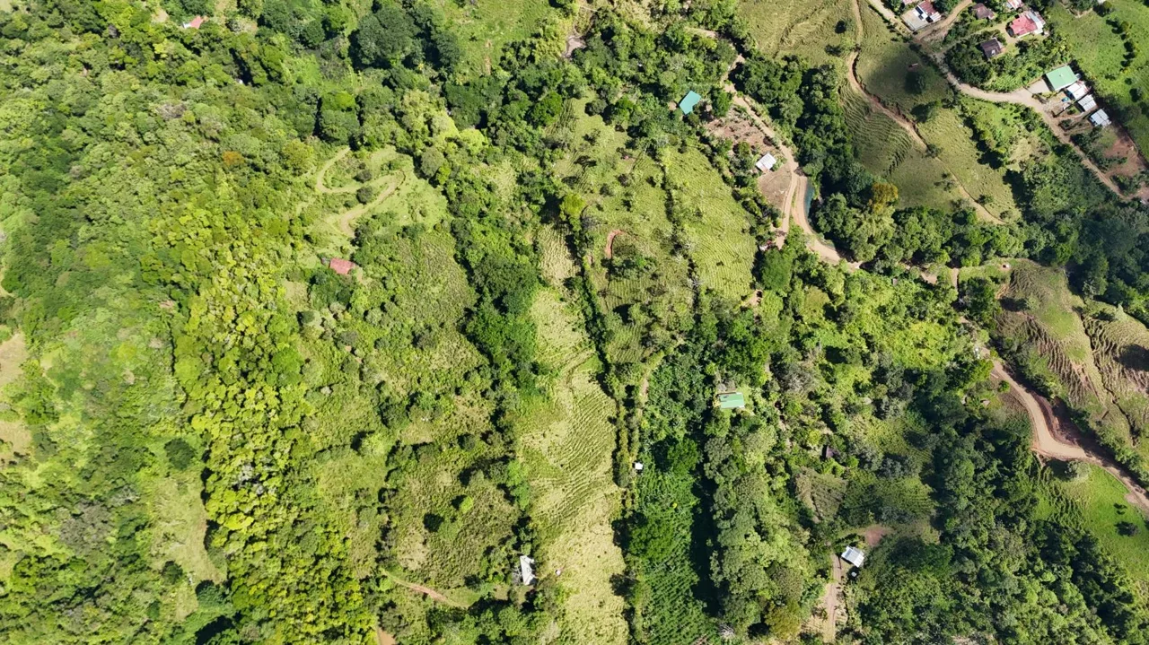 For Sale – 3.8 Ha Near Chirripó With Stream &amp; Springs — photo 2