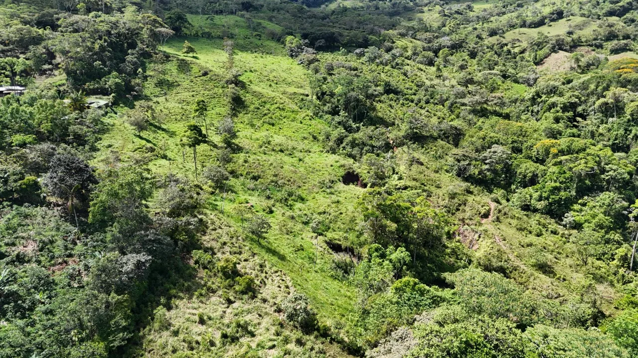For Sale – 3.8 Ha Near Chirripó With Stream &amp; Springs — photo 4