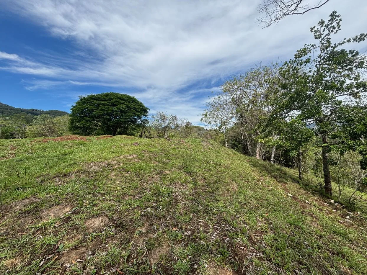 30,251m2 (7.5 acres) that can be developed in Atenas