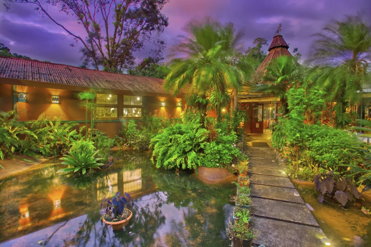 The Lucky Bug – Boutique Hotel &amp; Investment Opportunity in Nuevo Arenal