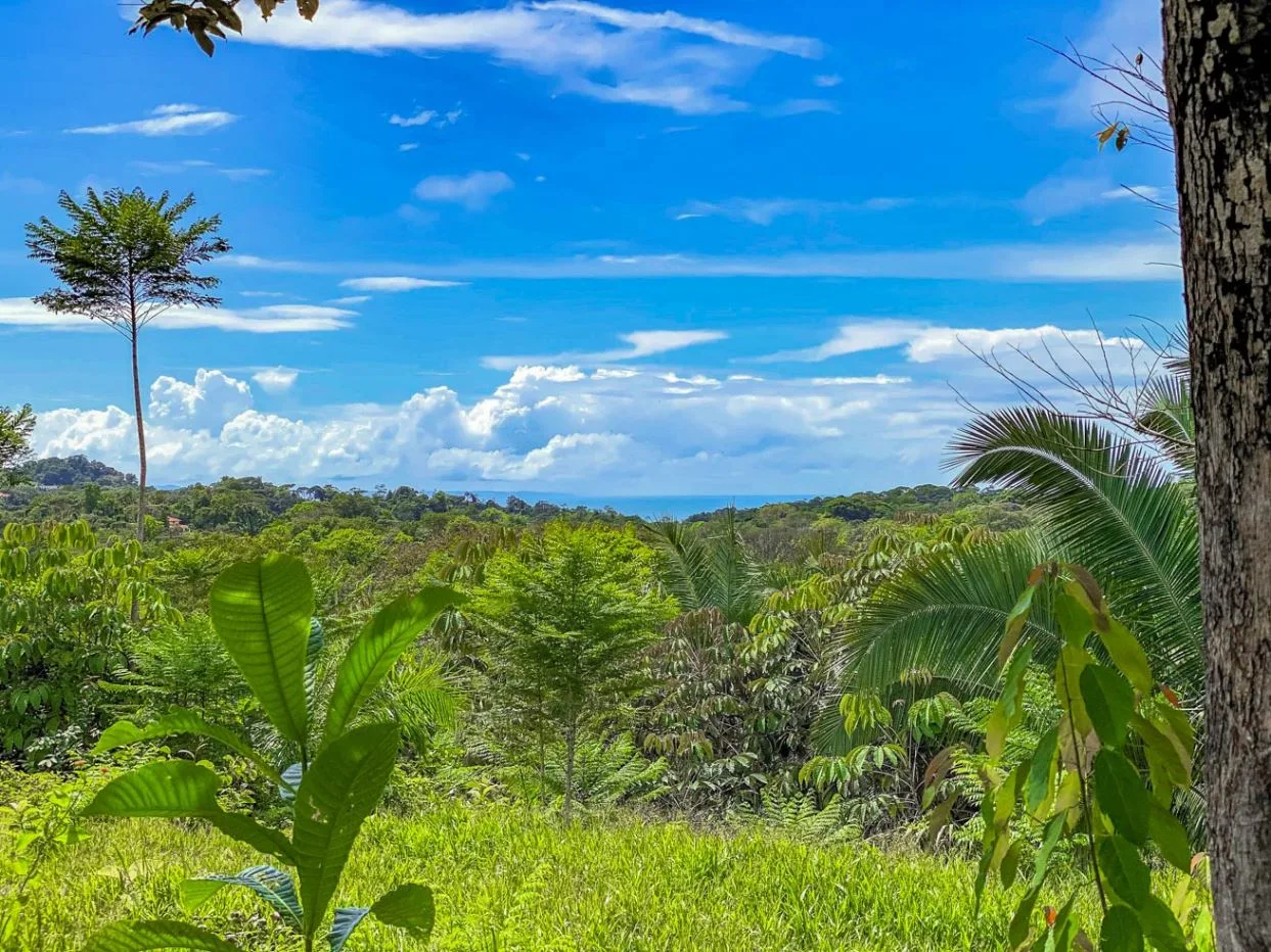 A Large 3.92 Acre Mountain, Ocean &amp; Jungle View Lot in the Heart of Ojochal