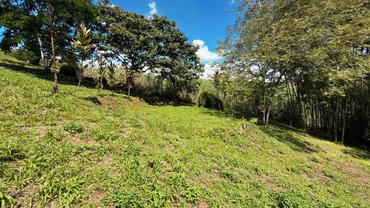 Land for Sale in Santa Cecilia, San Pedro – Pérez Zeledón | Excellent Price &amp; Prime Location — photo 3