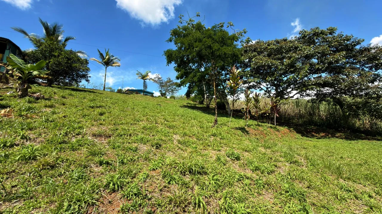 Land for Sale in Santa Cecilia, San Pedro – Pérez Zeledón | Excellent Price &amp; Prime Location — photo 4