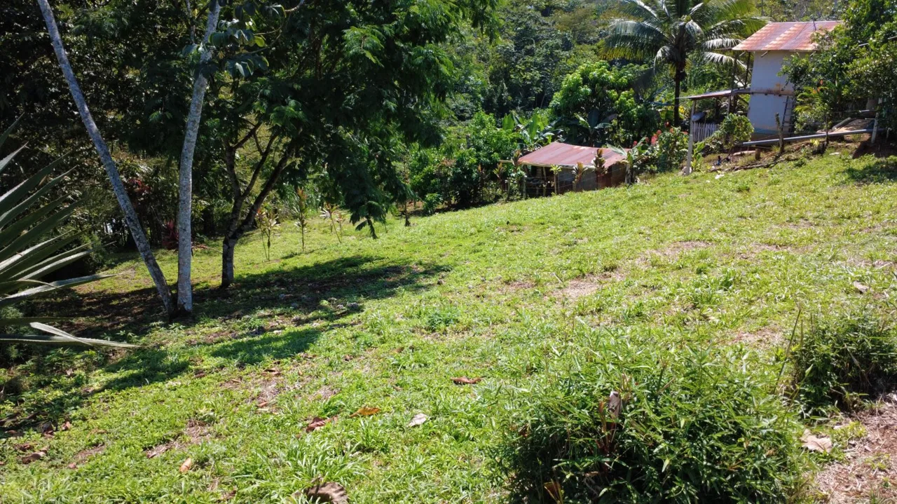 Land for Sale in Santa Cecilia, San Pedro – Pérez Zeledón | Excellent Price &amp; Prime Location — photo 5
