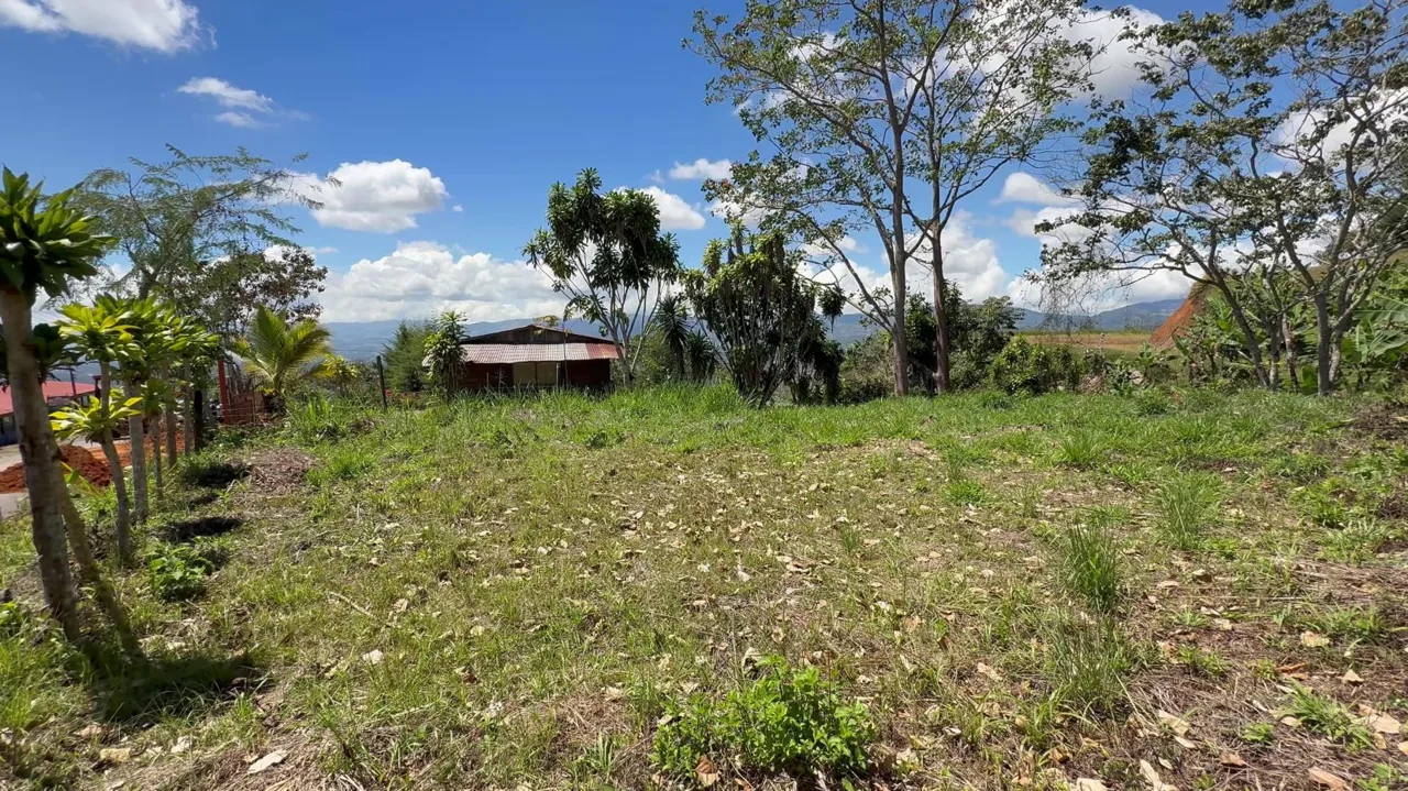 Charming Lot for Sale in Miravalles Perez Zeledon — photo 3