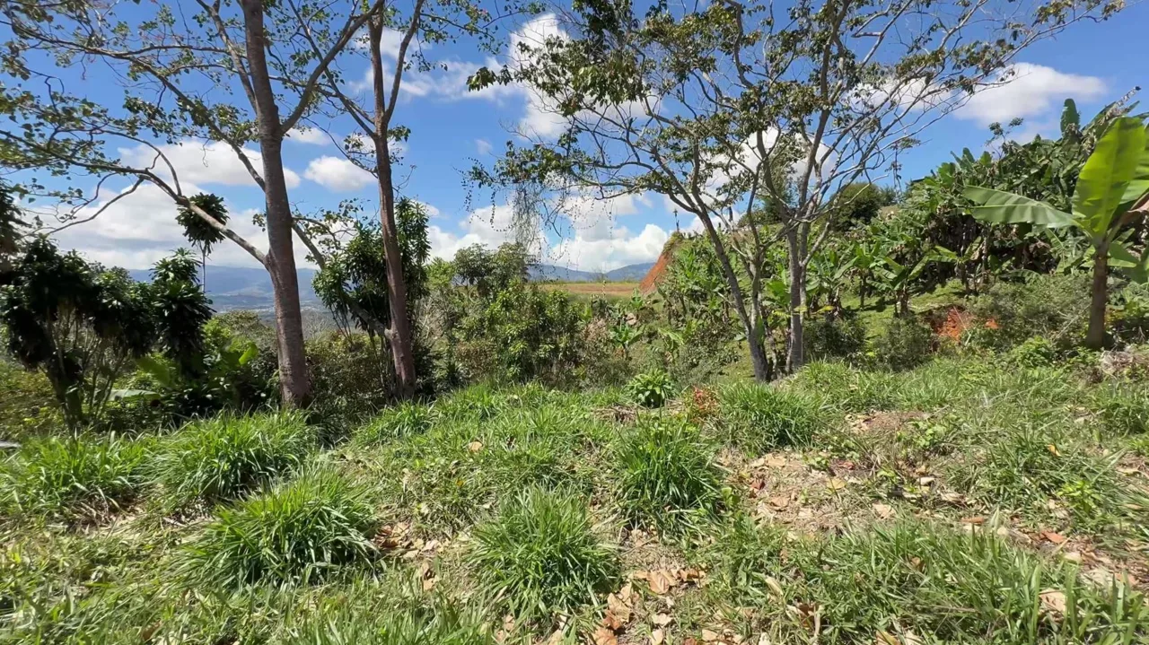 Charming Lot for Sale in Miravalles Perez Zeledon — photo 4