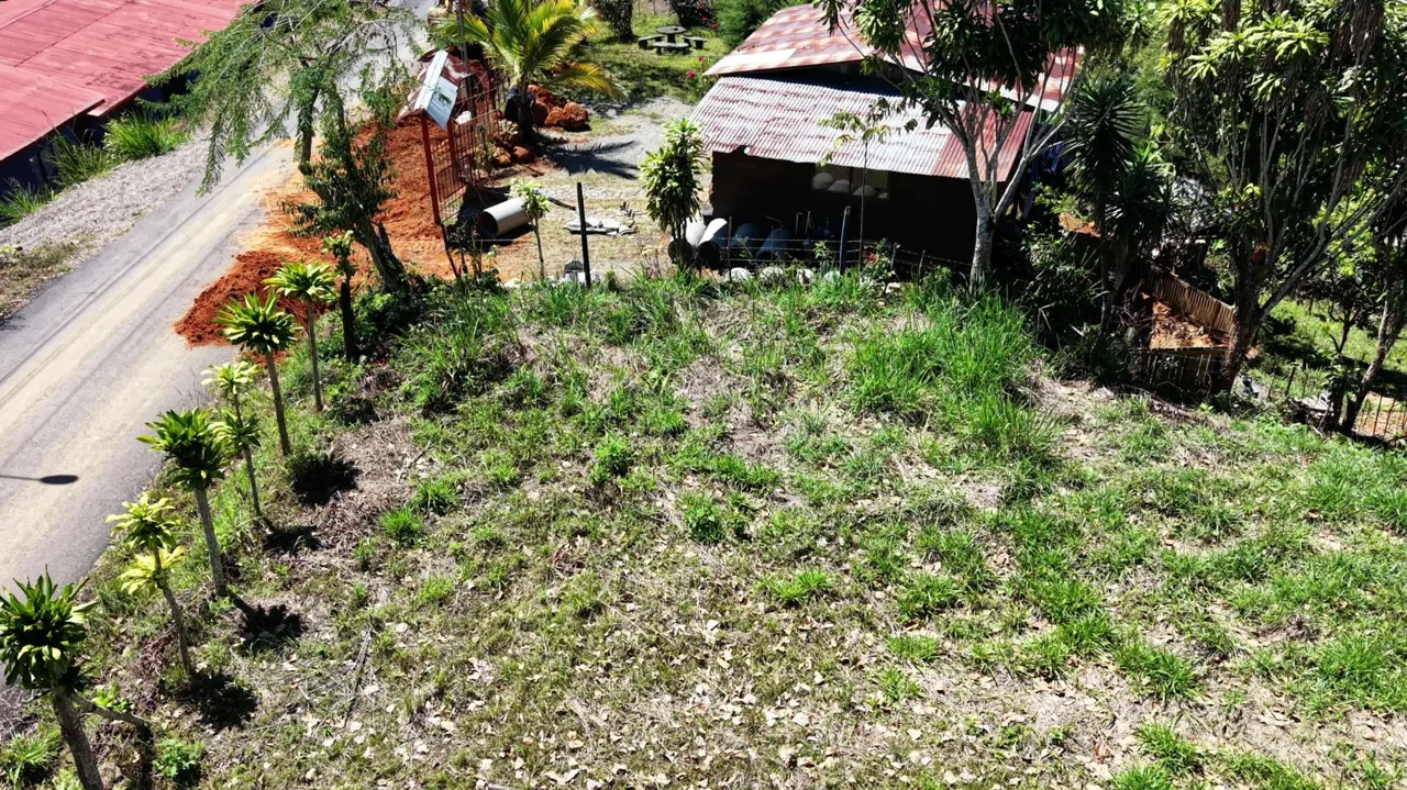 Charming Lot for Sale in Miravalles Perez Zeledon — photo 5