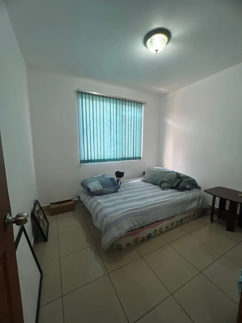 Property for Sale with House and 2 Apartments – Ideal for Investment Cuatro Reinas, Tibás — photo 3