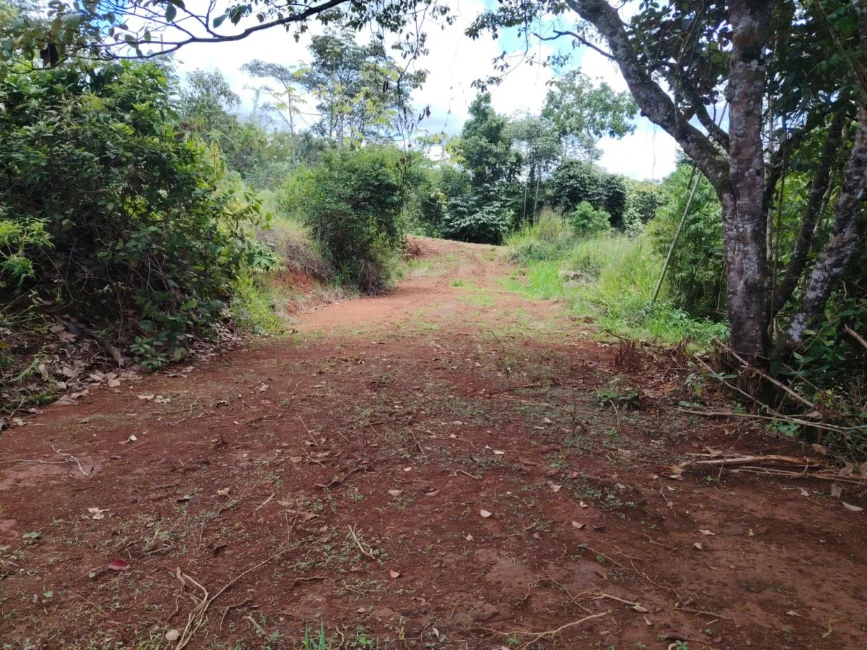 Smart investment: Lots for sale with access to schools, supermarkets, and hospital — photo 3