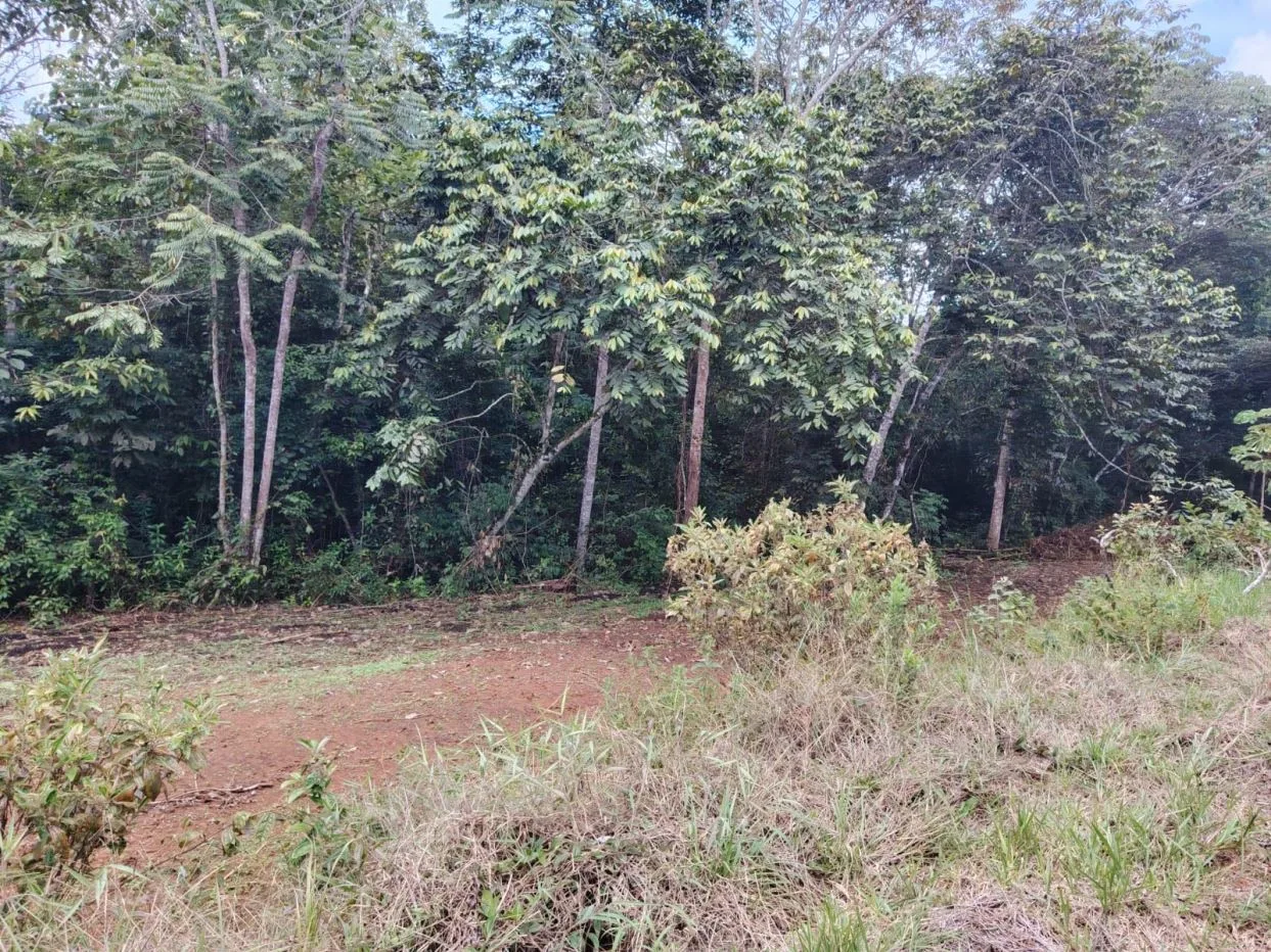 Smart investment: Lots for sale with access to schools, supermarkets, and hospital — photo 4