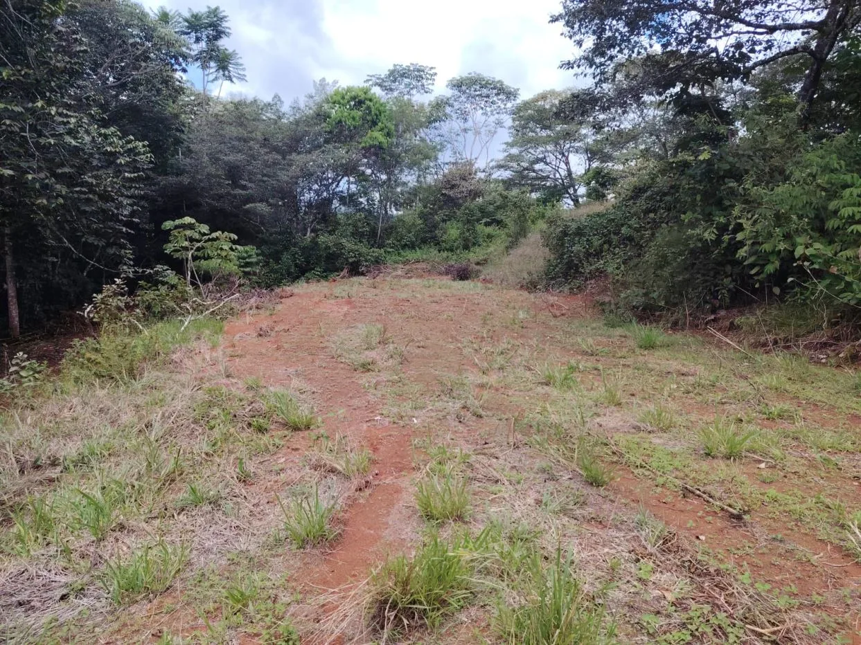 Smart investment: Lots for sale with access to schools, supermarkets, and hospital — photo 5