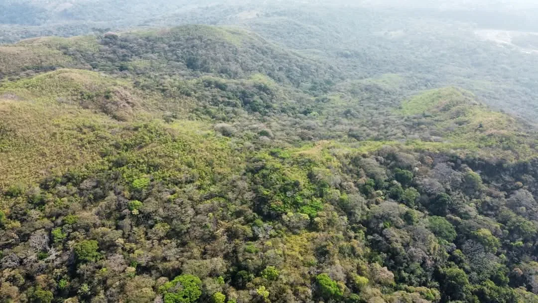 🌿 High-Potential Investment in the Magnificent Turrubares Mountains 🌿