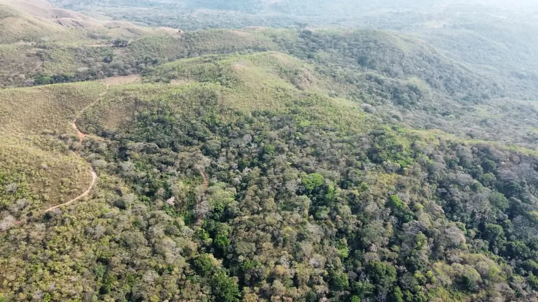 🌿 High-Potential Investment in the Magnificent Turrubares Mountains 🌿 — photo 2