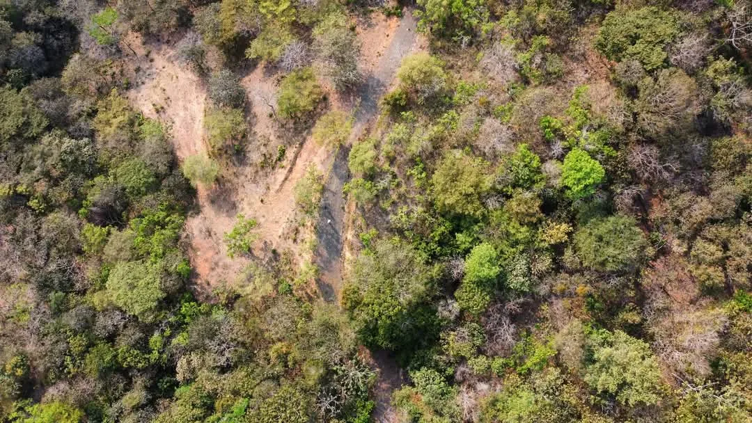 🌿 High-Potential Investment in the Magnificent Turrubares Mountains 🌿 — photo 5