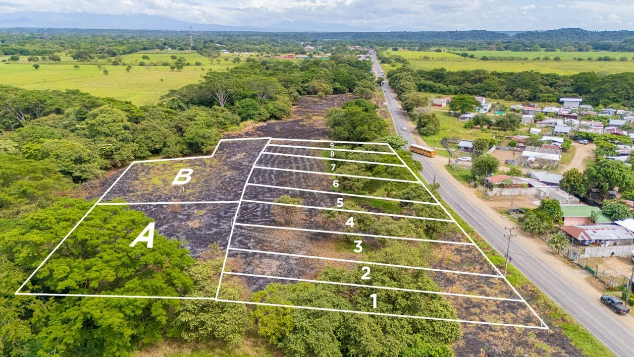Lots for Development in Guardia