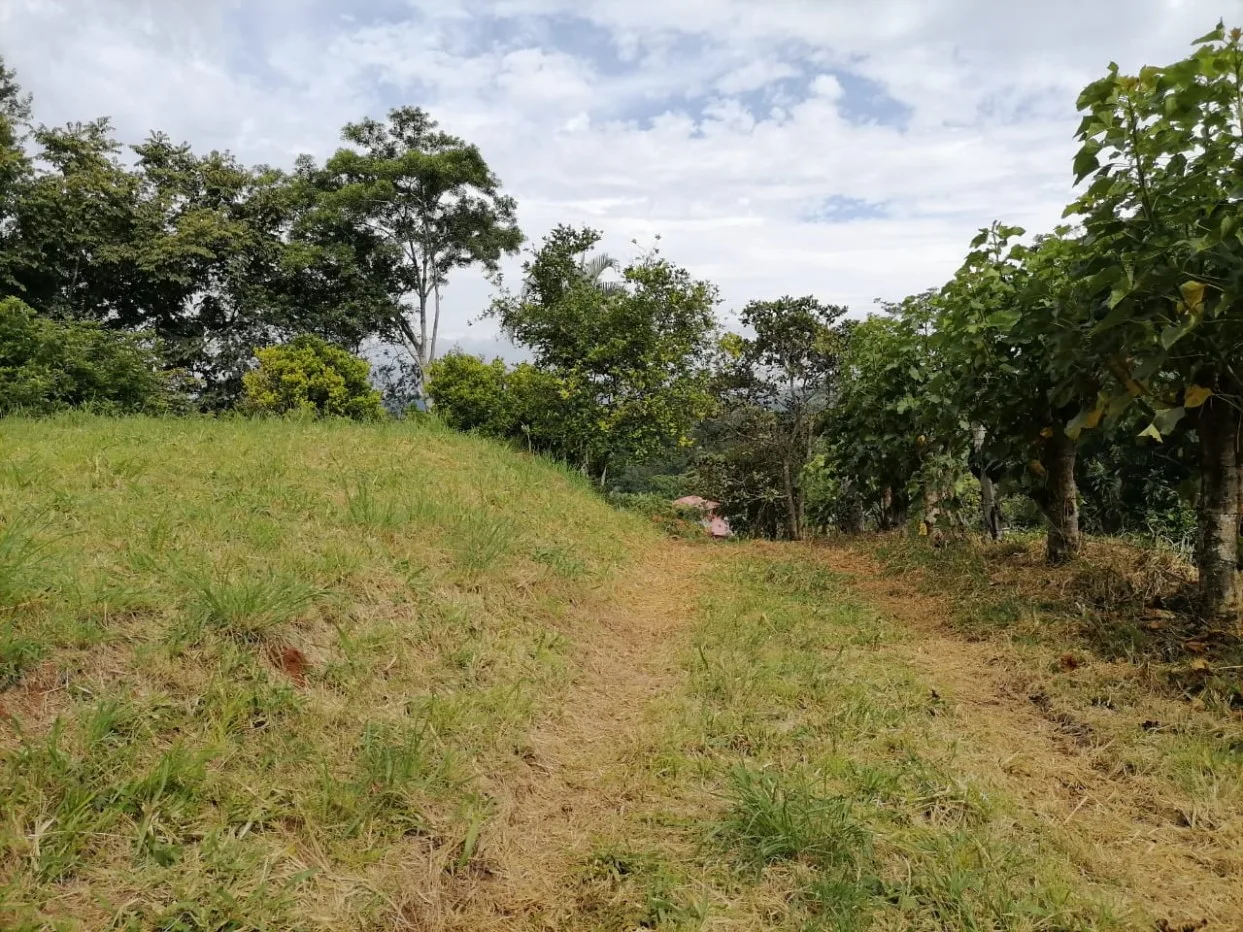 Countryside setting with views in Atenas