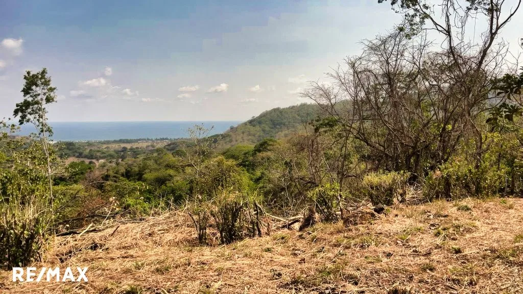 Lote Corozalito