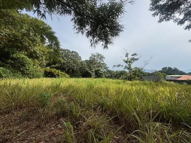 Beautiful condo zoned lot for sale in a private community with common gate 3 minutes from Atenas Center