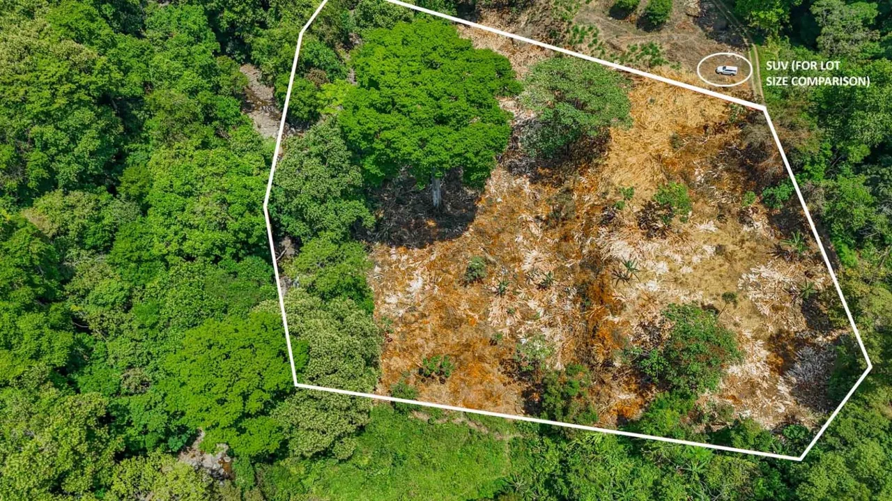 2.46 Acre Jungle Land for Sale in Ojochal with River Border