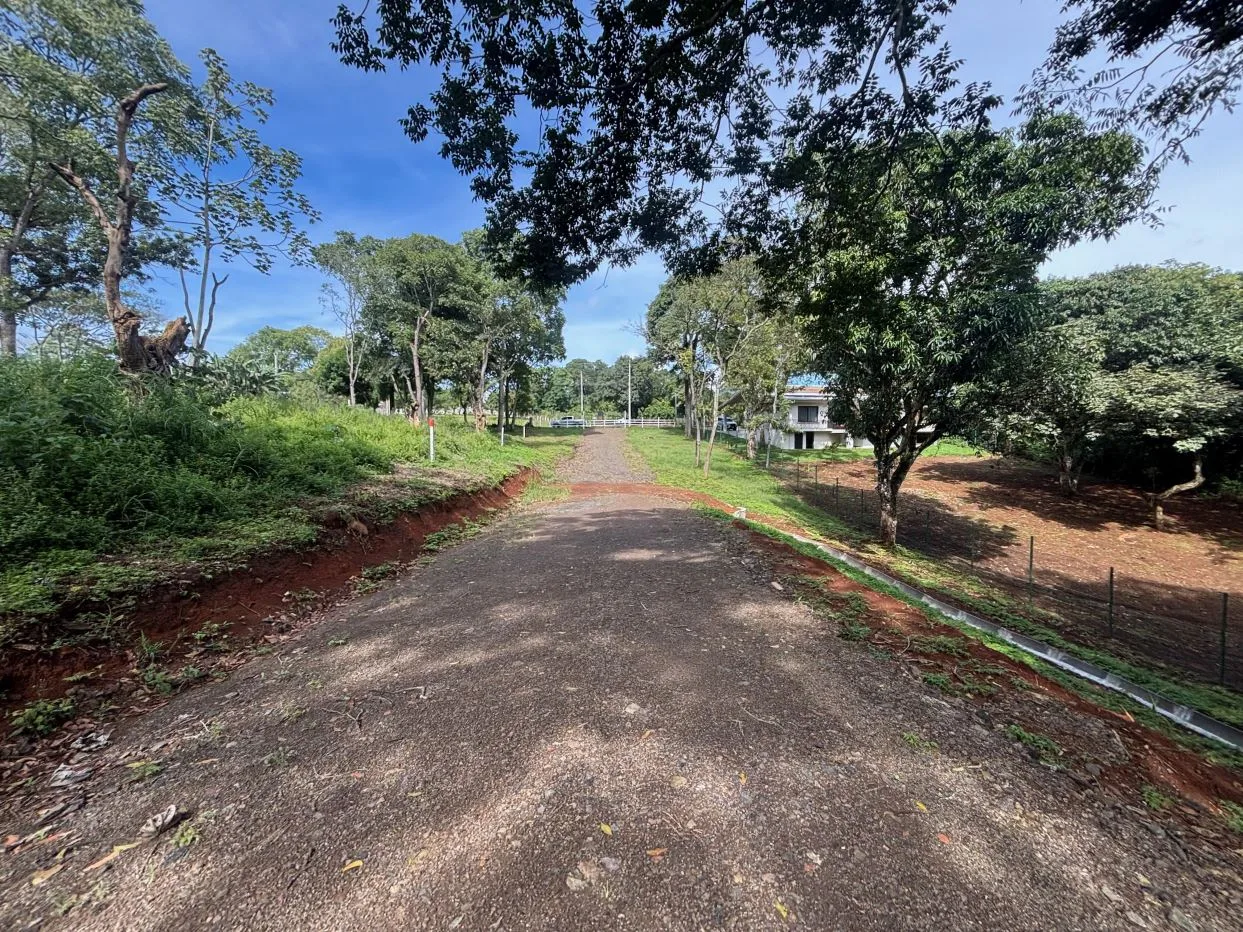 New to market! Very exclusive lots in private community in the Atenas countryside